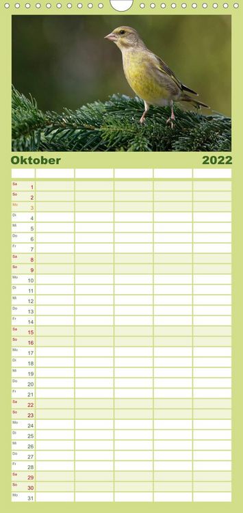 Produktbild: Familienplaner Heimische Gartenv&ouml;gel (Wandkalender 2022 , 21 cm x 45 cm, hoch)