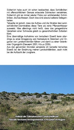 Produktbild: Landschildkr&ouml;ten-Futterpflanzen