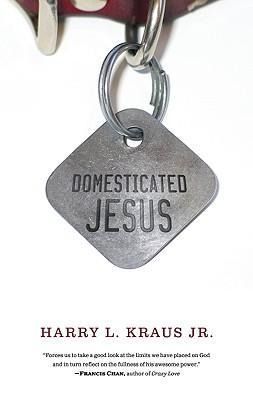 Produktbild: Domesticated Jesus