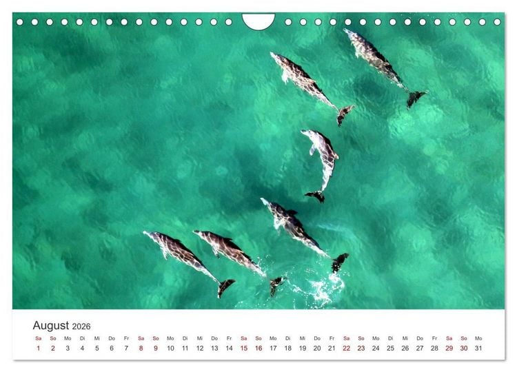 Produktbild: Mosambik - Eine Perle im S&uuml;den Afrikas. (Wandkalender 2026 DIN A4 quer), CALVENDO Monatskalender