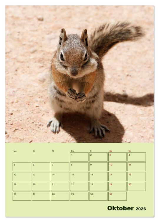 Produktbild: H&ouml;rnchen aus aller Welt (Wandkalender 2026 DIN A3 hoch), CALVENDO Monatskalender
