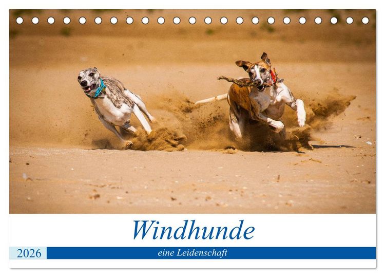 Produktbild: Windhunde - eine Leidenschaft (Tischkalender 2026 DIN A5 quer), CALVENDO Monatskalender