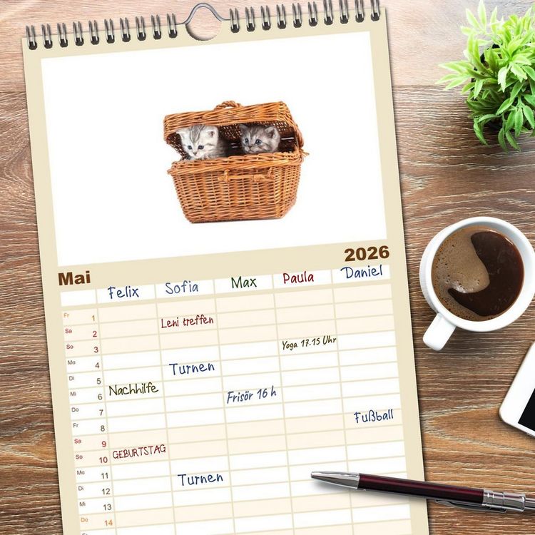 Produktbild: Familienplaner 2026 - Katzenbabys mit 5 Spalten (Wandkalender, 21 x 45 cm) CALVENDO