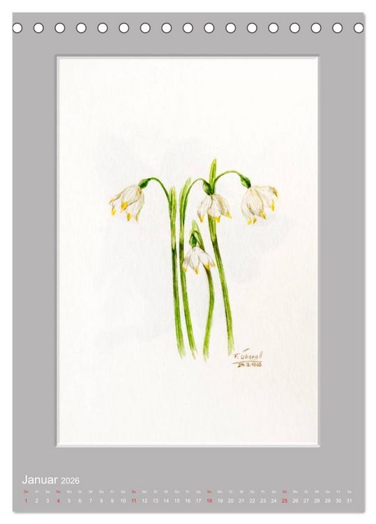 Produktbild: Alpenblumen Aquarelle aus Tirol (Tischkalender 2026 DIN A5 hoch), CALVENDO Monatskalender