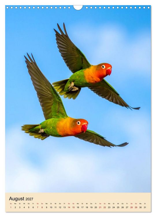 Produktbild: Lovebirds Harmonie (Wandkalender 2027 DIN A3 hoch), CALVENDO Monatskalender