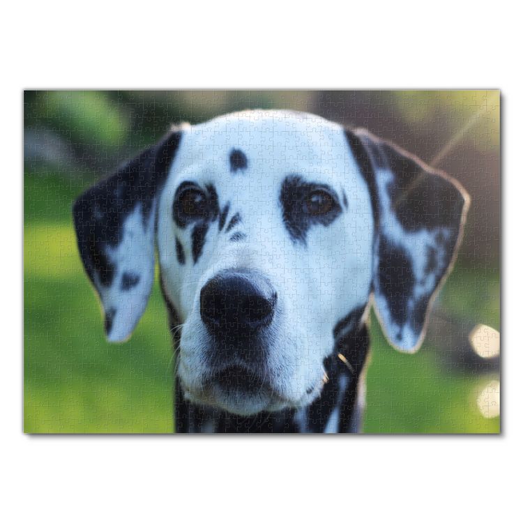 Produktbild: Lais Puzzle Dalmatiner 1000 Teile