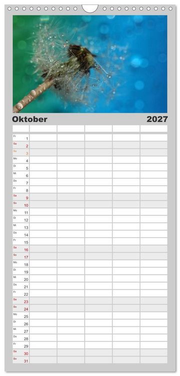 Produktbild: Familienplaner 2027 - Puste mal! mit 5 Spalten (Wandkalender, 21 x 45 cm) CALVENDO