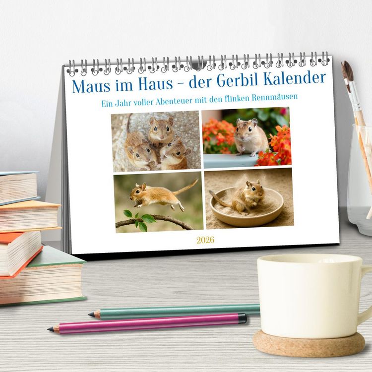 Produktbild: Maus im Haus - der Gerbil Kalender (Tischkalender 2026 DIN A5 quer), CALVENDO Monatskalender