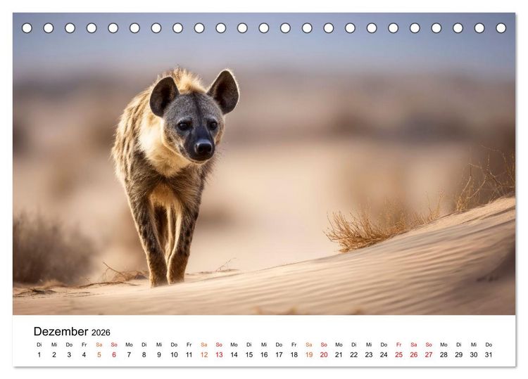 Produktbild: Hy&auml;nen - Afrikas geheimnisvolle J&auml;ger (Tischkalender 2026 DIN A5 quer), CALVENDO Monatskalender