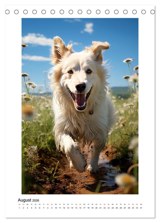 Produktbild: Highspeed Tiere (Tischkalender 2026 DIN A5 hoch), CALVENDO Monatskalender