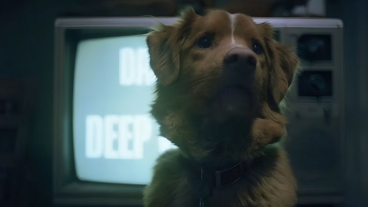 Produktbild: Good Boy - Trust his instincts