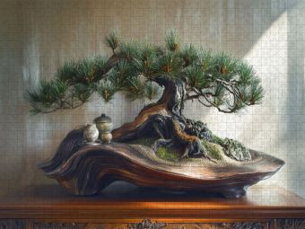 Produktbild: CALVENDO Puzzle Wurzeln, die Geschichten erz&auml;hlen - Bonsai | 1000 Teile Lege-Gr&ouml;&szlig;e 64x48cm Foto-Puzzle f&uuml;r gl&uuml;ckliche Stunden