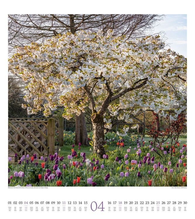 Produktbild: Paradiesische G&auml;rten Kalender 2027