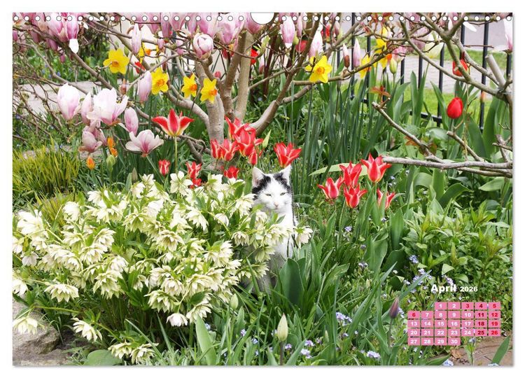 Produktbild: Urlaub im Garten (Wandkalender 2026 DIN A3 quer), CALVENDO Monatskalender