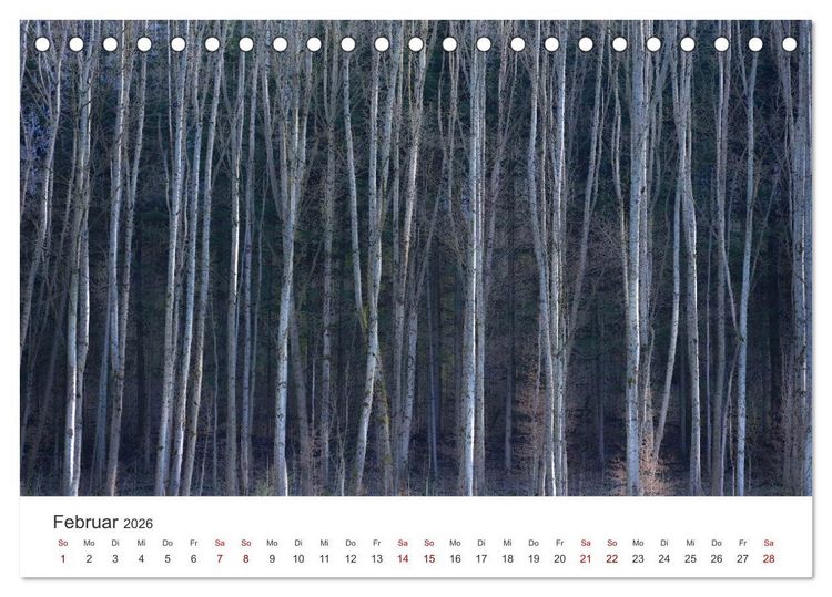 Produktbild: B&auml;ume - Gelebtes Leben (Tischkalender 2026 DIN A5 quer), CALVENDO Monatskalender