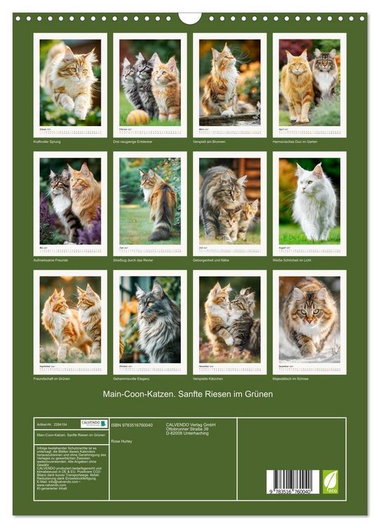 Produktbild: Main-Coon-Katzen. Sanfte Riesen im Gr&uuml;nen (Wandkalender 2027 DIN A3 hoch), CALVENDO Monatskalender