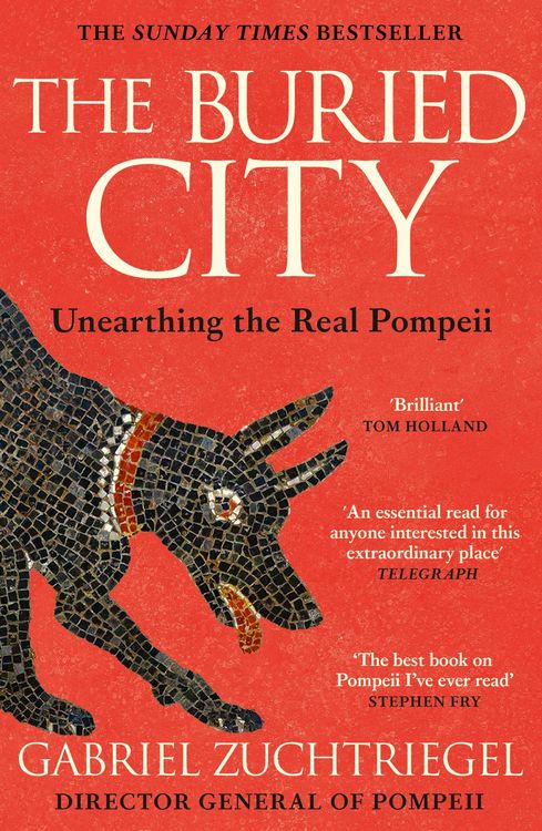 Produktbild: The Buried City