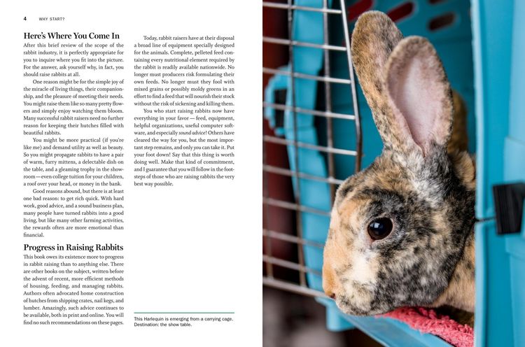 Produktbild: Storey's Guide to Raising Rabbits, 5th Edition