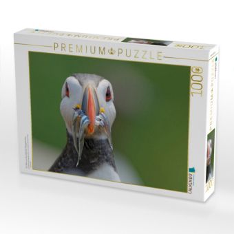 Produktbild: CALVENDO Puzzle Ein Motiv aus dem Kalender Papageitaucher | 1000 Teile Lege-Gr&ouml;&szlig;e 64x48cm Foto-Puzzle f&uuml;r gl&uuml;ckliche Stunden