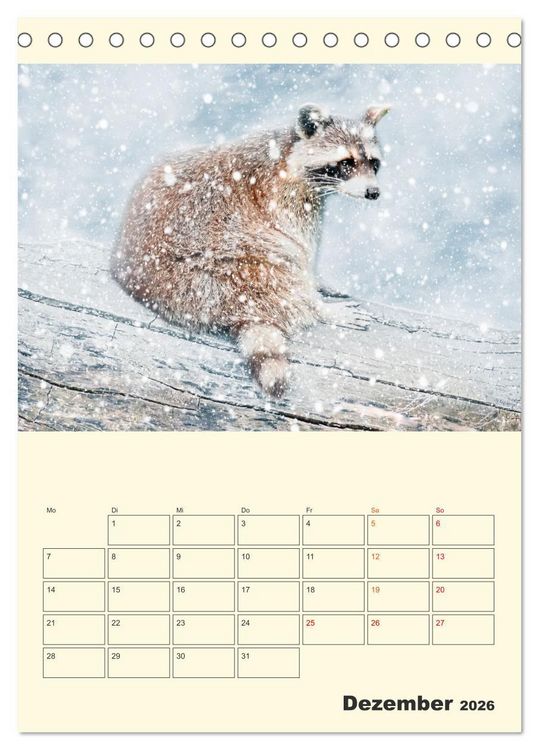 Produktbild: Drolliger Waschb&auml;r (Tischkalender 2026 DIN A5 hoch), CALVENDO Monatskalender