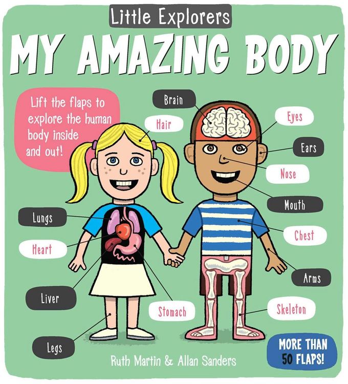 Produktbild: Little Explorers: My Amazing Body