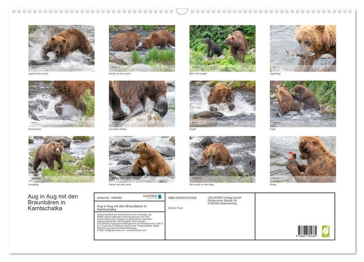 Produktbild: Aug in Aug mit den Braunb&auml;ren in Kamtschatka (Wandkalender 2026 DIN A2 quer), CALVENDO Monatskalender