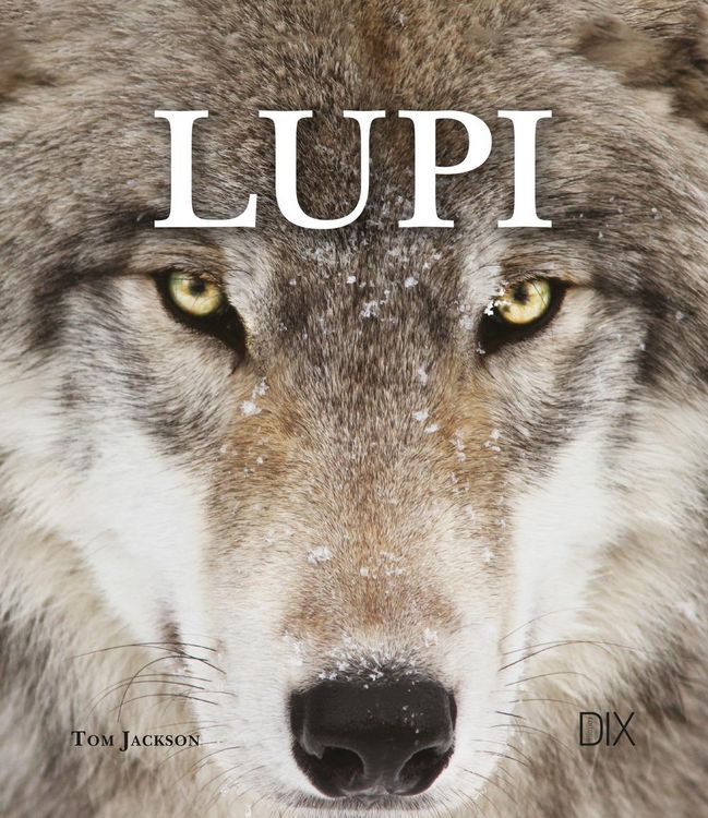 Produktbild: Lupi