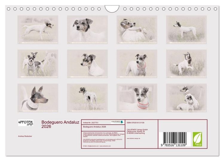 Produktbild: Bodeguero Andaluz 2026 (Wandkalender 2026 DIN A4 quer), CALVENDO Monatskalender