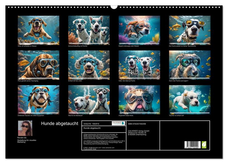 Produktbild: Hunde abgetaucht (Wandkalender 2026 DIN A2 quer), CALVENDO Monatskalender