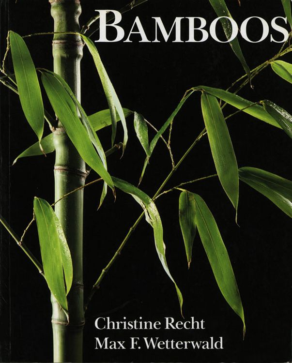 Produktbild: Bamboos