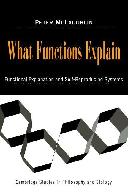 Produktbild: What Functions Explain