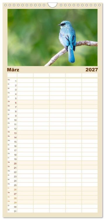 Produktbild: Familienplaner 2027 - Zwischen Nebel und Baumriesen - V&ouml;gel Borneos mit 5 Spalten (Wandkalender, 21 x 45 cm) CALVENDO