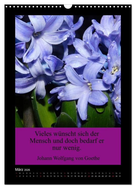 Produktbild: Lebensweisheiten mit Blumigen Gr&uuml;&szlig;en (Wandkalender 2026 DIN A3 hoch), CALVENDO Monatskalender
