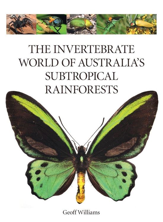 Produktbild: The Invertebrate World of Australia's Subtropical Rainforests