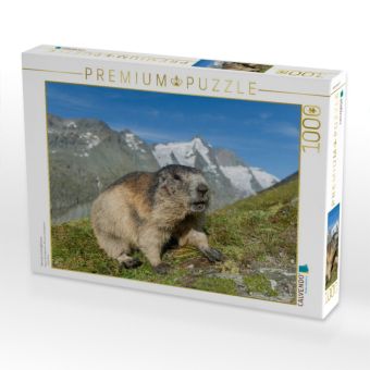 Produktbild: Murmel mit Gro&szlig;glockner (Puzzle)