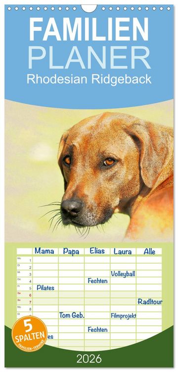 Produktbild: Familienplaner 2026 - Rhodesian Ridgeback 2026 mit 5 Spalten (Wandkalender, 21 x 45 cm) CALVENDO