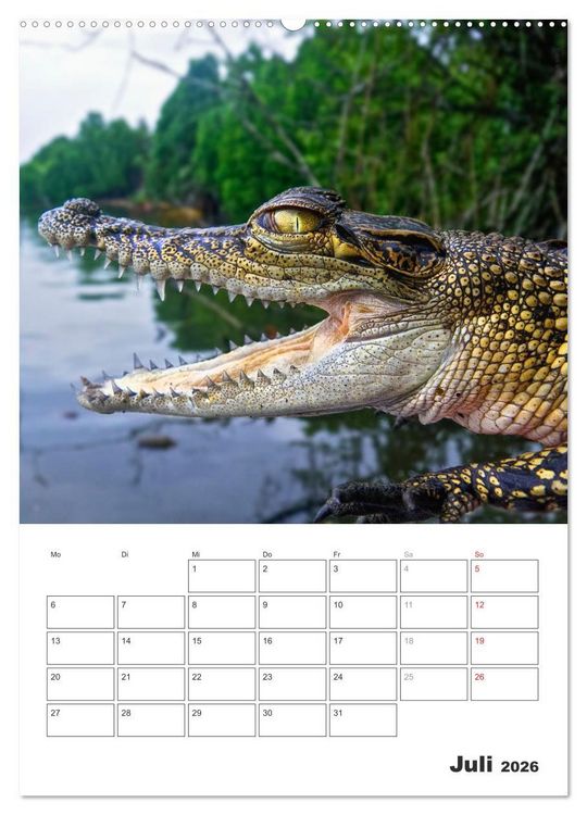 Produktbild: Sri Lanka 2026 - Exotisches Paradies - Jahresplaner (hochwertiger Premium Wandkalender 2026 DIN A2 hoch), Kunstdruck in Hochglanz