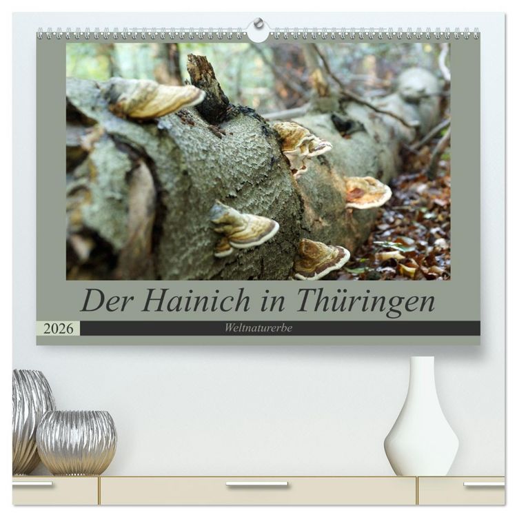 Produktbild: Der Hainich in Th&uuml;ringen - Weltnaturerbe (hochwertiger Premium Wandkalender 2026 DIN A2 quer), Kunstdruck in Hochglanz
