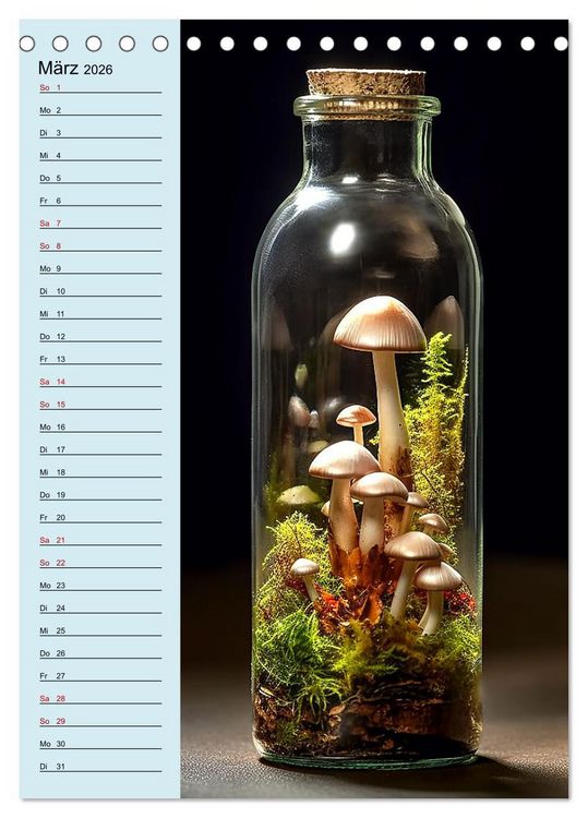 Produktbild: Voll die Flasche (Tischkalender 2026 DIN A5 hoch), CALVENDO Monatskalender