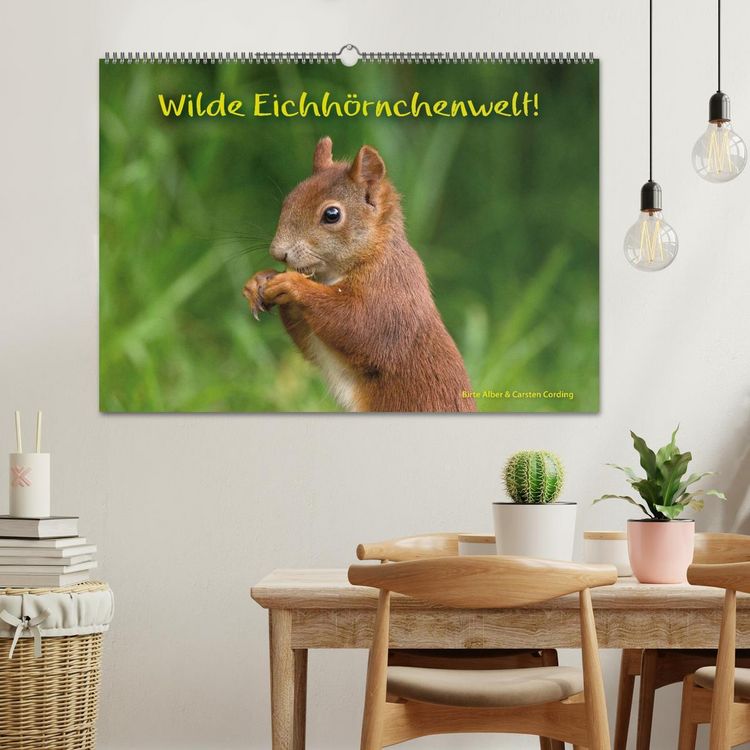 Produktbild: Wilde Eichh&ouml;rnchenwelt! (Wandkalender 2026 DIN A2 quer), CALVENDO Monatskalender