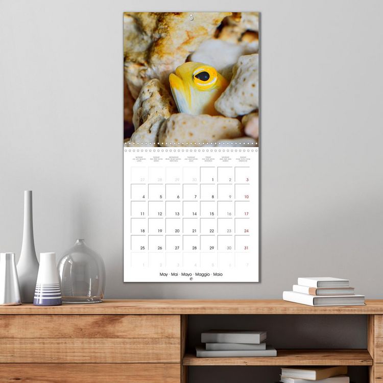 Produktbild: Fish magic (Wall Calendar 2026 12 &times; 12 Inch) CALVENDO 12 Month Wall Calendar