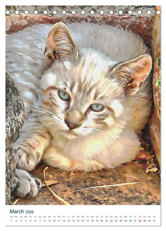 Produktbild: Umbrian Cats (Desk Calendar 2026 DIN A5 portrait), CALVENDO 12 Month DeskCalendar