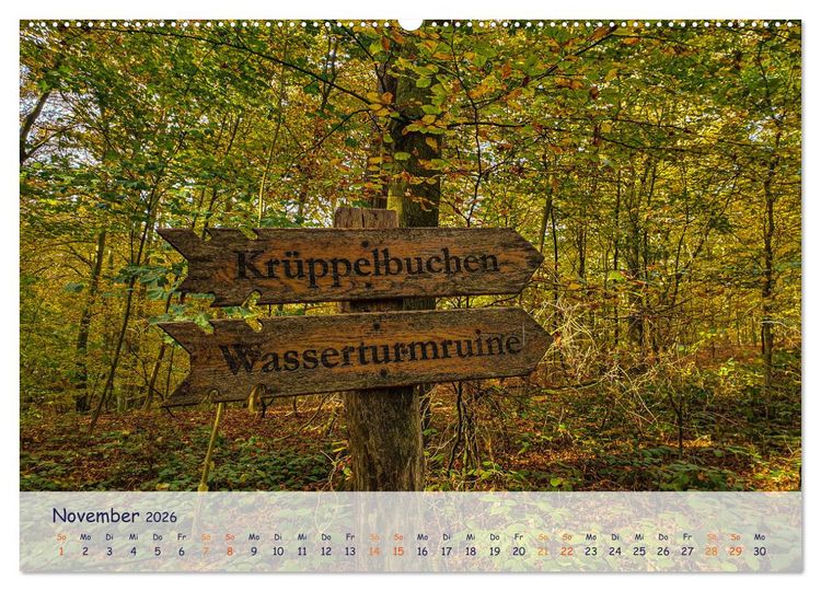 Produktbild: R&uuml;genliebe (Wandkalender 2026 DIN A2 quer), CALVENDO Monatskalender