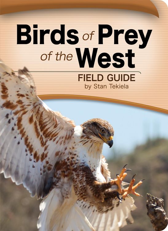 Produktbild: Birds of Prey of the West Field Guide