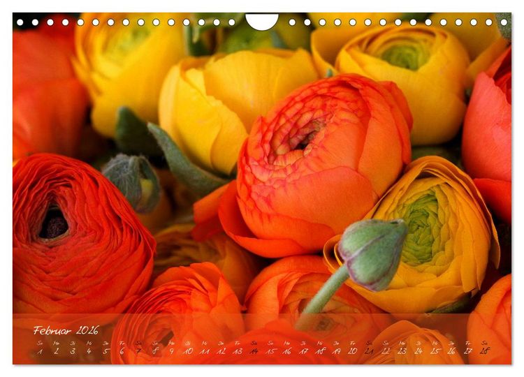 Produktbild: Bl&uuml;ten dicht an dicht (Wandkalender 2026 DIN A4 quer), CALVENDO Monatskalender