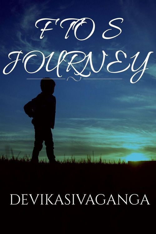 Produktbild: F to S Journey