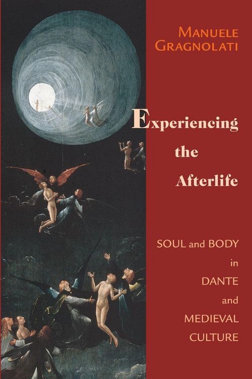 Produktbild: Experiencing the Afterlife