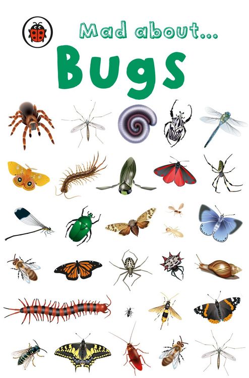 Produktbild: Mad About Bugs