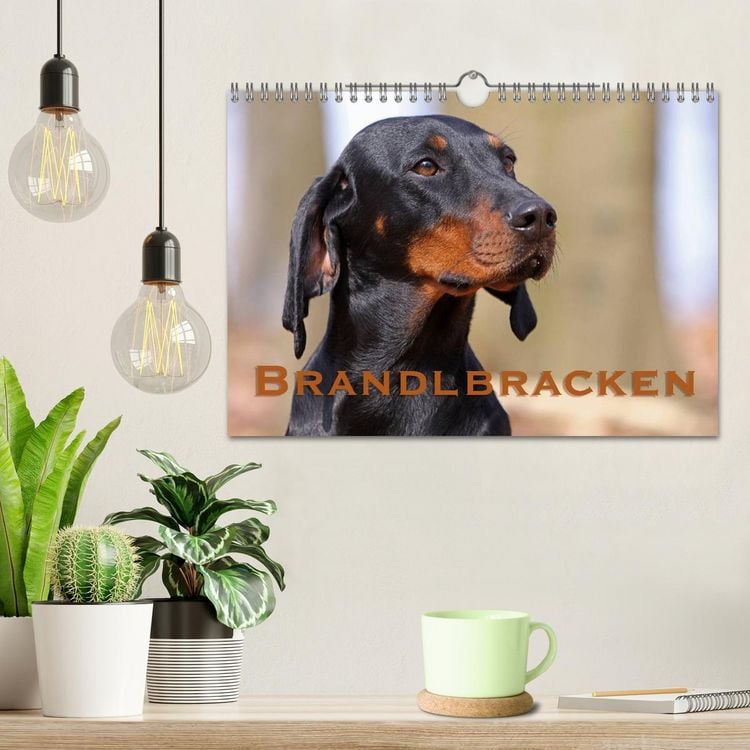 Produktbild: Brandlbracken (Wandkalender 2026 DIN A4 quer), CALVENDO Monatskalender