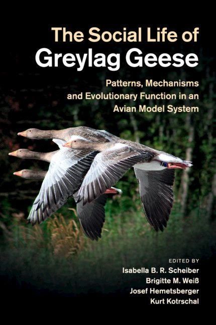 Produktbild: The Social Life of Greylag Geese